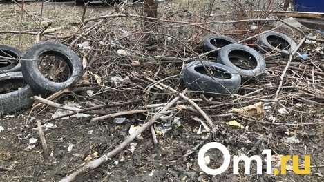 В Омской области суд обязал муниципалитет ликвидировать 10 незаконных свалок