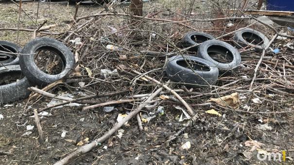 В Омской области суд обязал муниципалитет ликвидировать 10 незаконных свалок