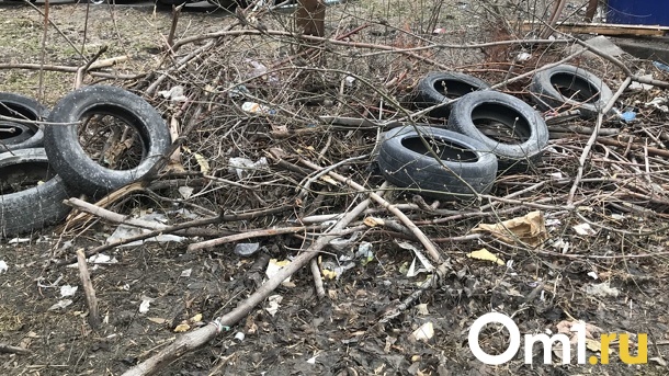 В Омской области суд обязал муниципалитет ликвидировать 10 незаконных свалок