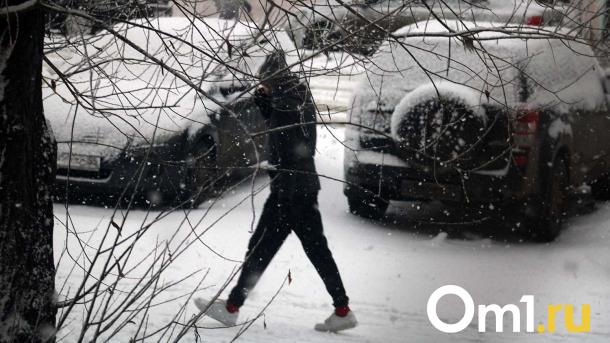 В Омске идёт снег с микропластиком