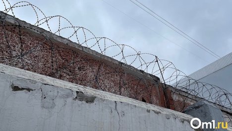 Омич, обвиняемый в шпионаже на оборонном предприятии, не смог обжаловать свой арест
