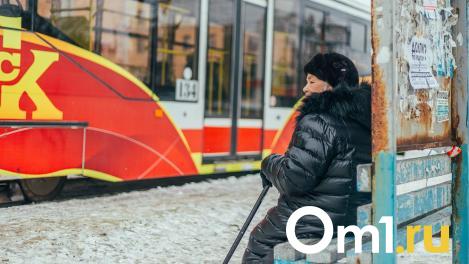 Названа сумма пенсии на 2025 год для жителей Омской области