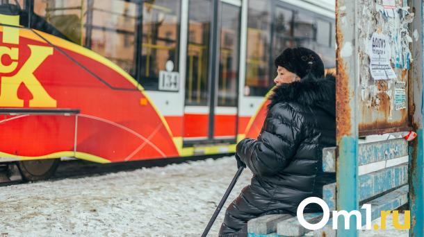 Названа сумма пенсии на 2025 год для жителей Омской области