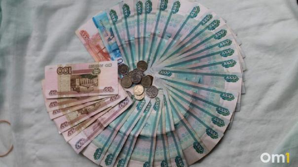 Руководитель омской компании не платил налоги и задолжал 74 миллиона рублей