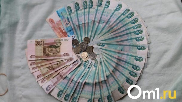 Руководитель омской компании не платил налоги и задолжал 74 миллиона рублей