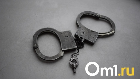 Омская «продавщица» щебня получила 3,5 года колонии за мошенничество