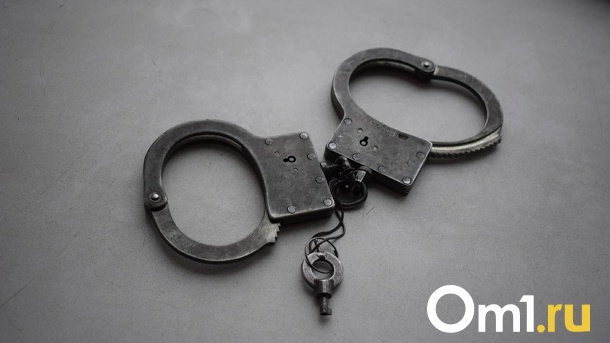 Омская «продавщица» щебня получила 3,5 года колонии за мошенничество