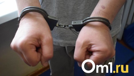 19-летнего новосибирца приговорили к 6 годам колонии строгого режима по делу о приготовлении к госизмене