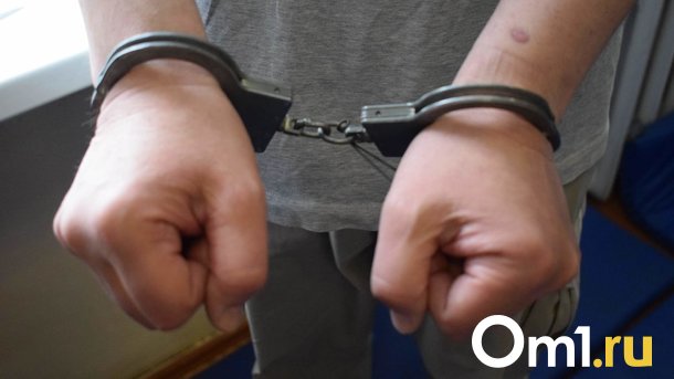 19-летнего новосибирца приговорили к 6 годам колонии строгого режима по делу о приготовлении к госизмене