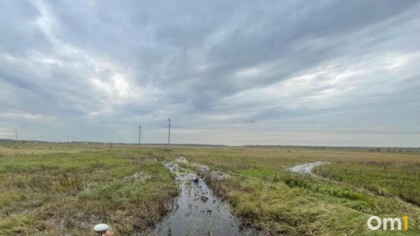 В ТГК-11 рассказали о новом разливе воды возле дач под Омском