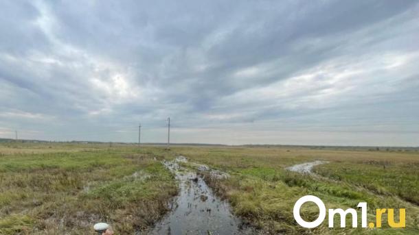 В ТГК-11 рассказали о новом разливе воды возле дач под Омском