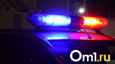 «Угрожал поджечь ребёнка»: появились жуткие подробности убийства молодой омички