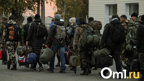 Глава Комитета по обороне Картаполов: уклонистам могут запретить выезд за границу