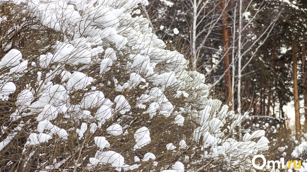 Мороз до -33 градусов ожидается на 16 декабря в Новосибирской области