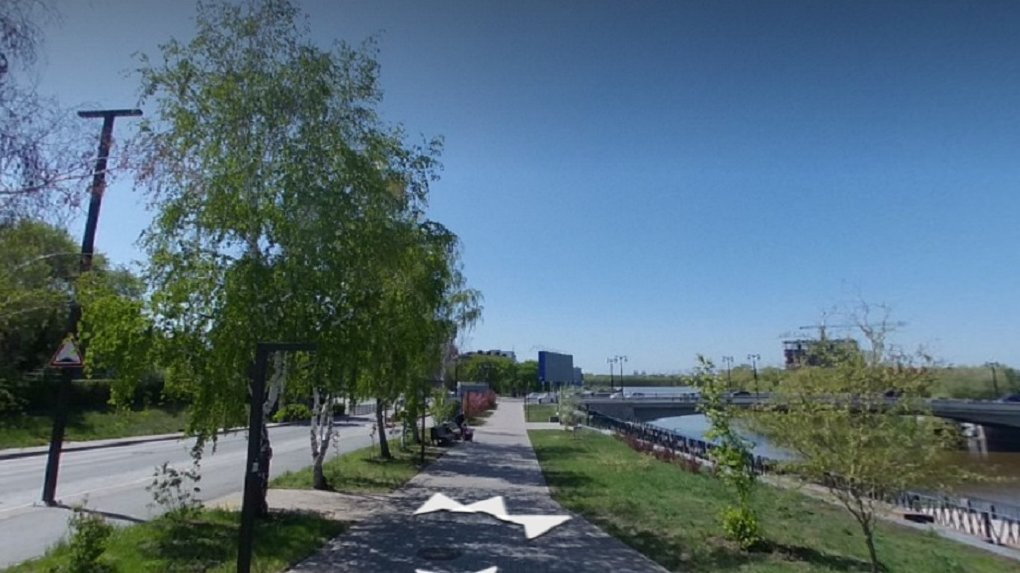 На набережной в центре Омска уберут 66 деревьев ради «Аллеи олимпийцев»
