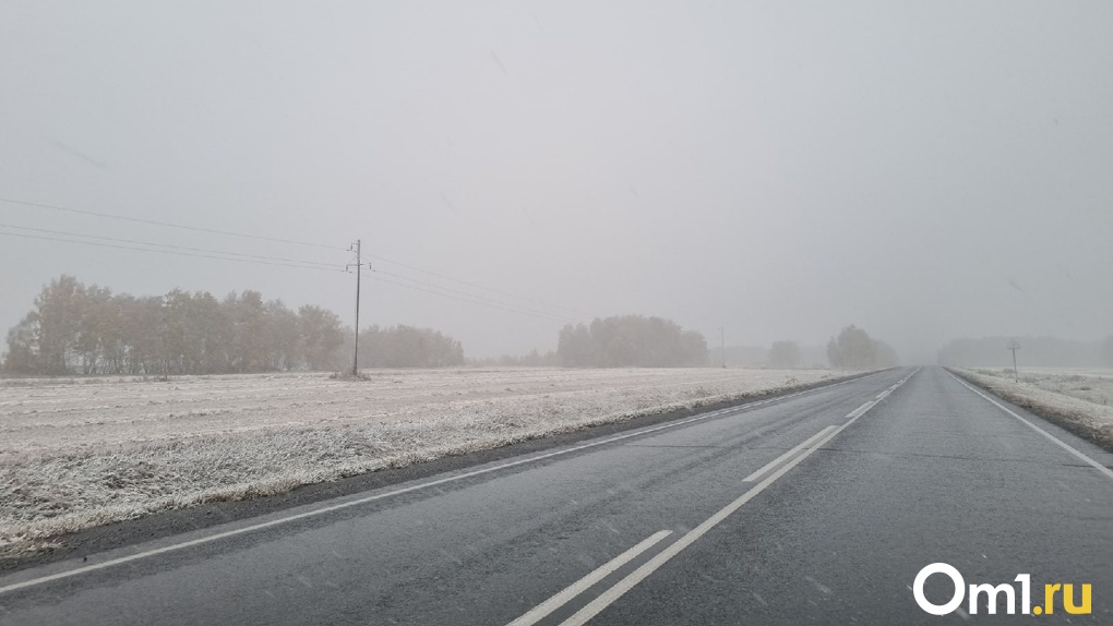 В Омской области выпал первый снег — ФОТО