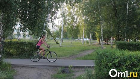 Виноват велосипед? Стали известны причины нападения омича на школьников