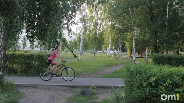 Виноват велосипед? Стали известны причины нападения омича на школьников