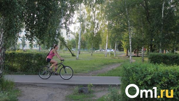 Виноват велосипед? Стали известны причины нападения омича на школьников