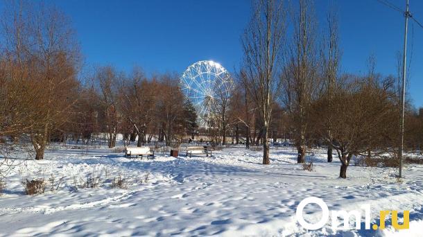 На смену морозам в Омской области придут метель и сильный ветер