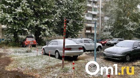 За парковку на газонах наказали 10 тысяч омичей