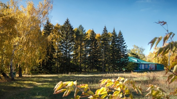В споре за лыжную базу на Берёзовой победила омская мэрия