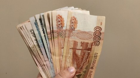 РБК: цена на дачные участки в Новосибирске выросла на 26 процентов