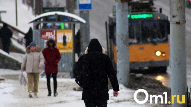 Снег и -10: синоптики дали пугающий прогноз для Омской области