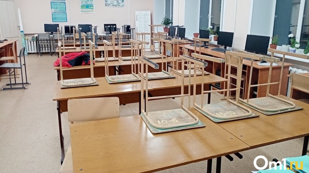 Омские школьники перейдут на дистанционное обучение