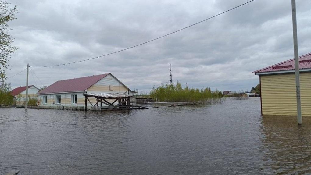 Хоценко: «За сутки вода ушла из 11 домов, которые находятся в Усть-Ишимском районе»