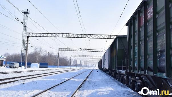 Локомотивы насмерть сбили женщину и мужчину под Новосибирском