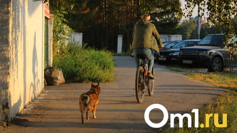 Последние тёплые деньки: где отдохнуть на природе в Омске и за городом?
