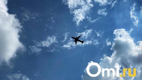 Омский аэропорт рассказал, что делать при отмене и задержке рейсов