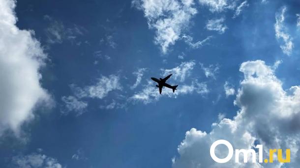 Омский аэропорт рассказал, что делать при отмене и задержке рейсов