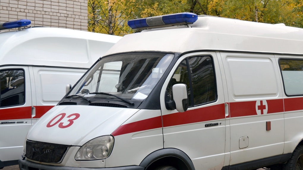 Оторван палец и проломлена голова: под Новосибирском обнаружили труп изувеченной женщины