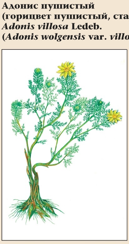 Изображение фоторепортажа