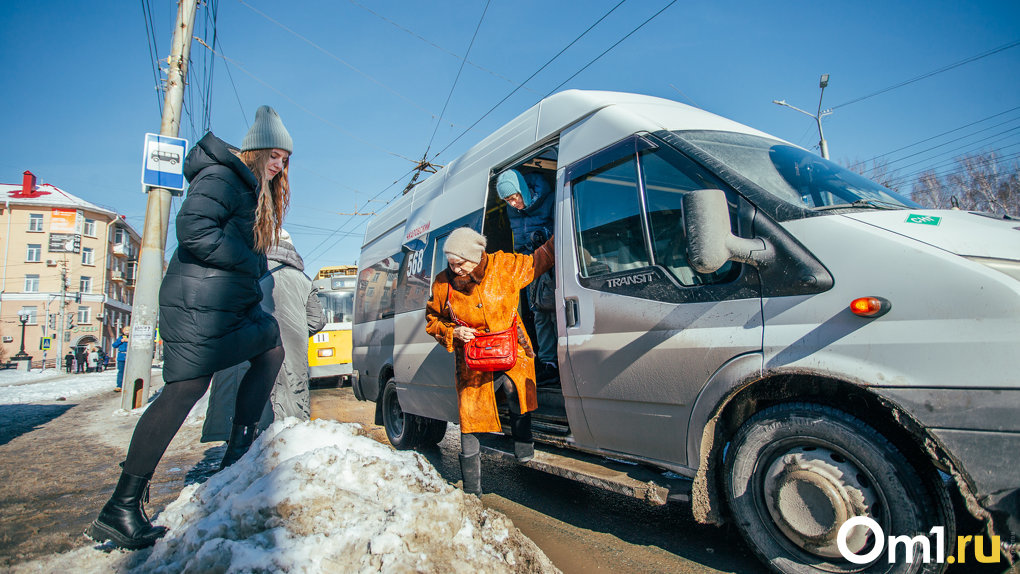 Микробы, козы и грибы: разбираем ситуацию с общественным транспортом в Омске