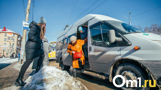 Микробы, козы и грибы: разбираем ситуацию с общественным транспортом в Омске