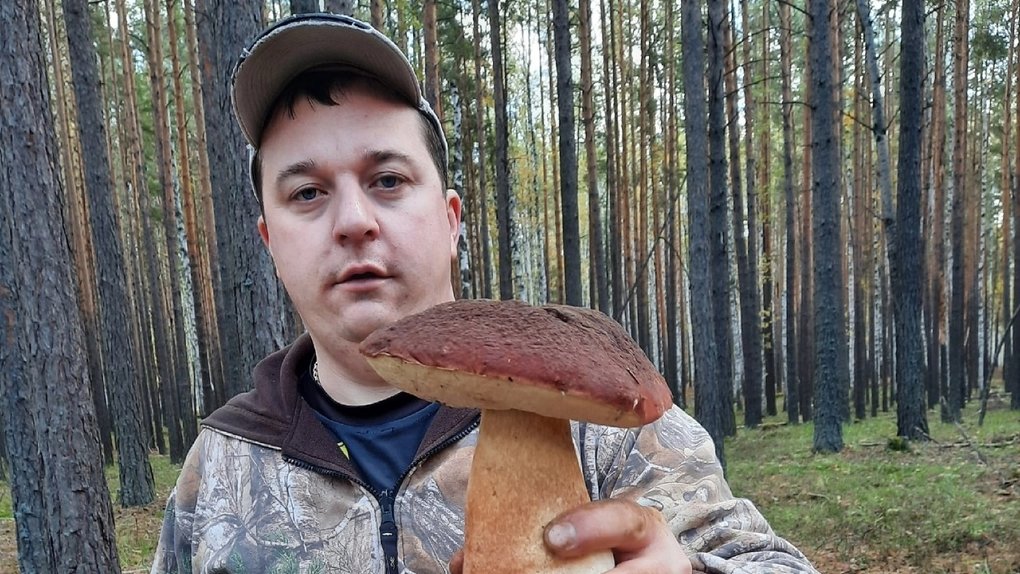 Белый гриб размером с голову нашел омич в лесу