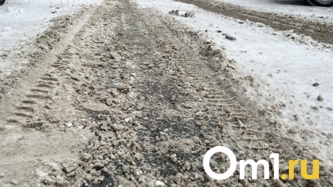 Будет ещё заснеженно: в Омске для нормальной уборки снега не хватает 1205 спецмашин