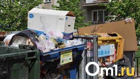 После вмешательства прокуратуры в Новосибирской области организовали сбор и вывоз бытовых отходов