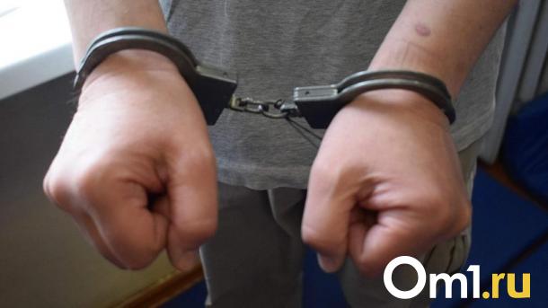 Три дня побоев: в клубе под Новосибирском истязали 10-летнего мальчика