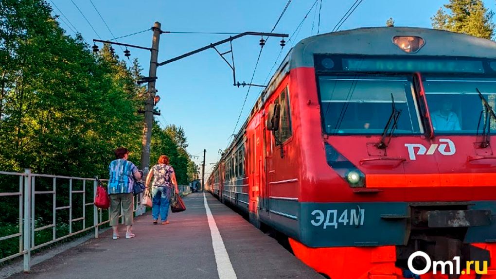 Пролезала под вагоном: грузовой поезд насмерть сбил 70-летнюю пенсионерку в Новосибирской области