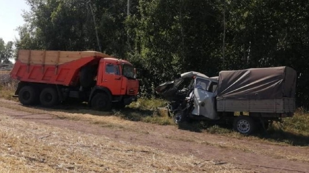 Водитель УАЗа погиб при столкновении автомобиля с КамАЗом в Новосибирской области (фото)