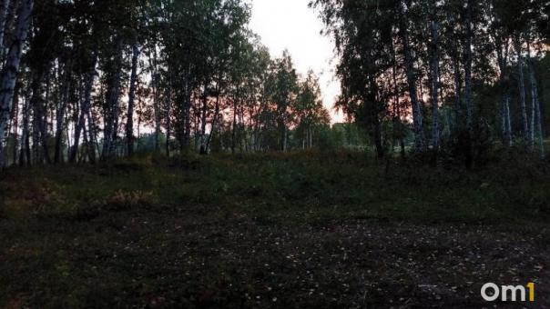 В Омской области разрешили отстрелить более четырёх тысяч бобров и куниц