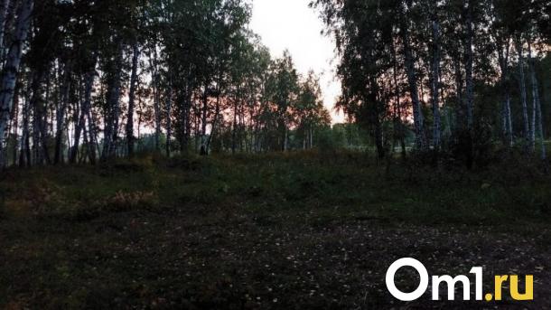В Омской области разрешили отстрелить более четырёх тысяч бобров и куниц