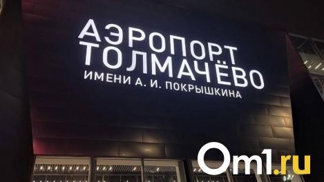Служебный пёс помог предотвратить вывоз 1 млн рублей в новосибирском «Толмачёво»