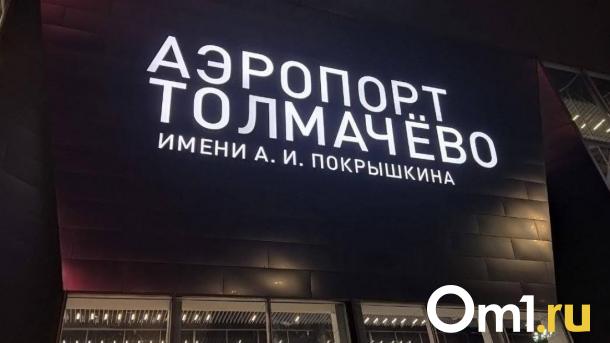 Служебный пёс помог предотвратить вывоз 1 млн рублей в новосибирском «Толмачёво»