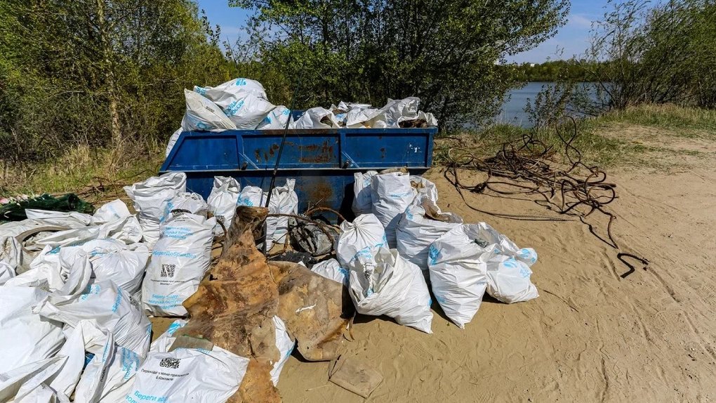 В Новосибирске более 250 мешков мусора вывезли с берега Оби