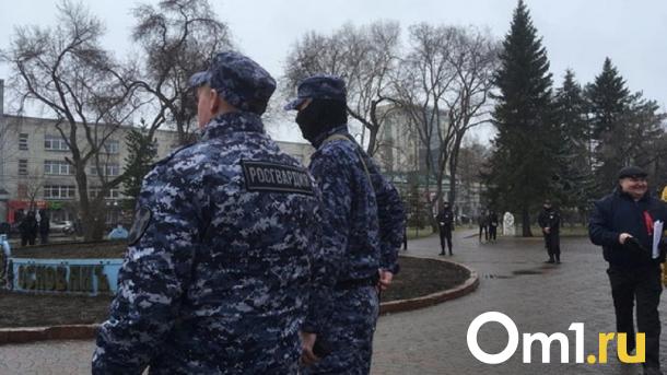 В омские образовательные учреждения хотят направить Росгвардию для охраны